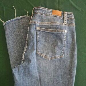 Judy Blue Skinny Jeans Size 15